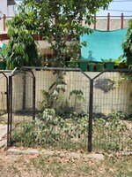 266 Sq.Yd. Plot in Sector 11