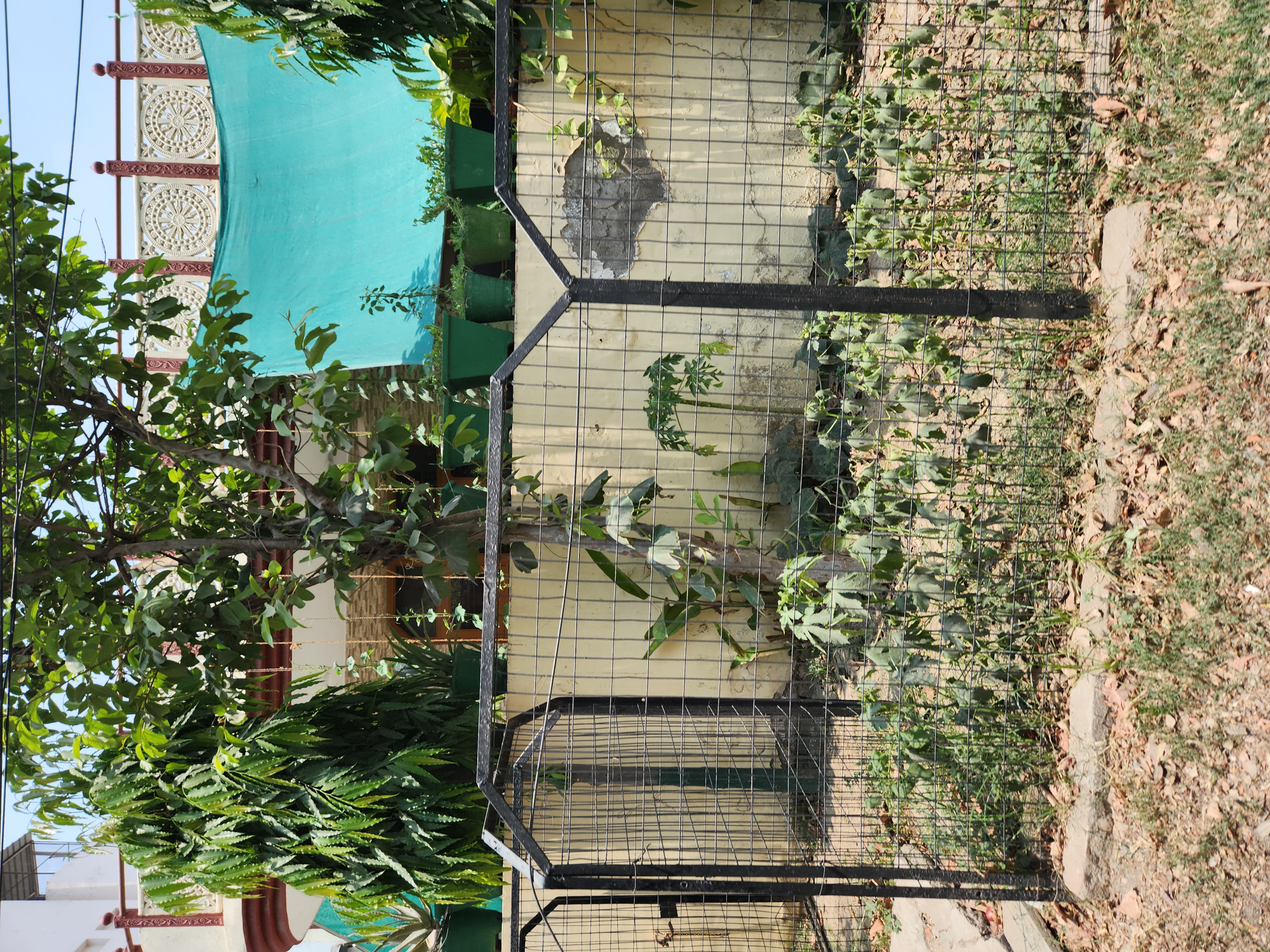 Plot For Sale in Sector 11