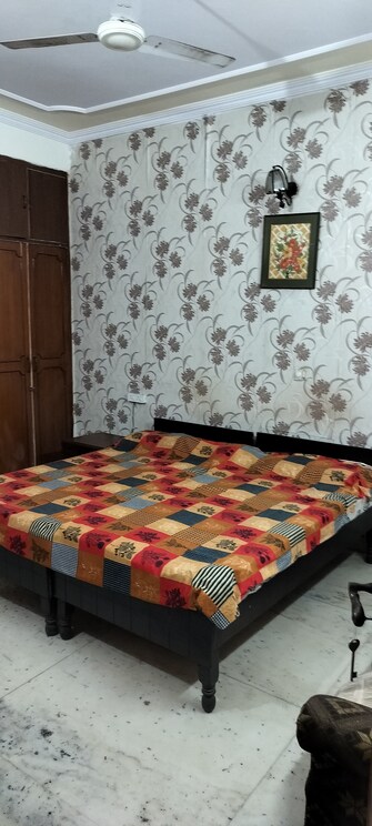 1.5 BHK Independent House For Rent in RWA Apartments Sector 41 Sector 41 Noida  8144755