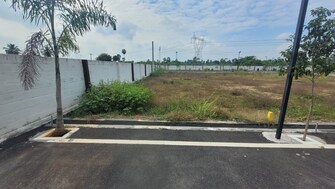 Plot For Resale in Chinna Seeragapadi Salem  8145010