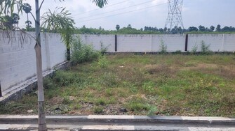 Plot For Resale in Chinna Seeragapadi Salem  8145010