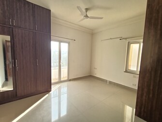 2 BHK Apartment For Rent in Regency La Majad Hbr Layout Bangalore  8145114