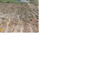 Plot For Sale in ROF Insignia Park 2, Sector 95