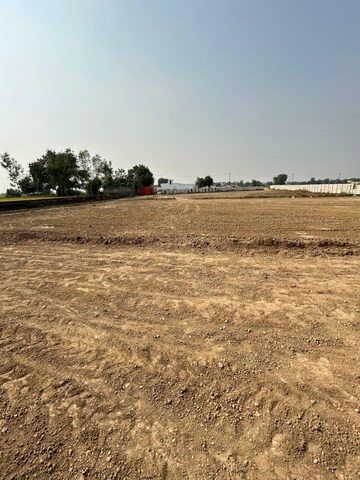  Plot For Sale in Dholera