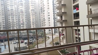 3 BHK Apartment For Rent in Supertech Ecovillage I Sector 1 Greater Noida Greater Noida  8145477