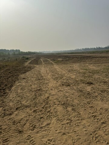 Plot Area in  Plot at Dholera – for Sale