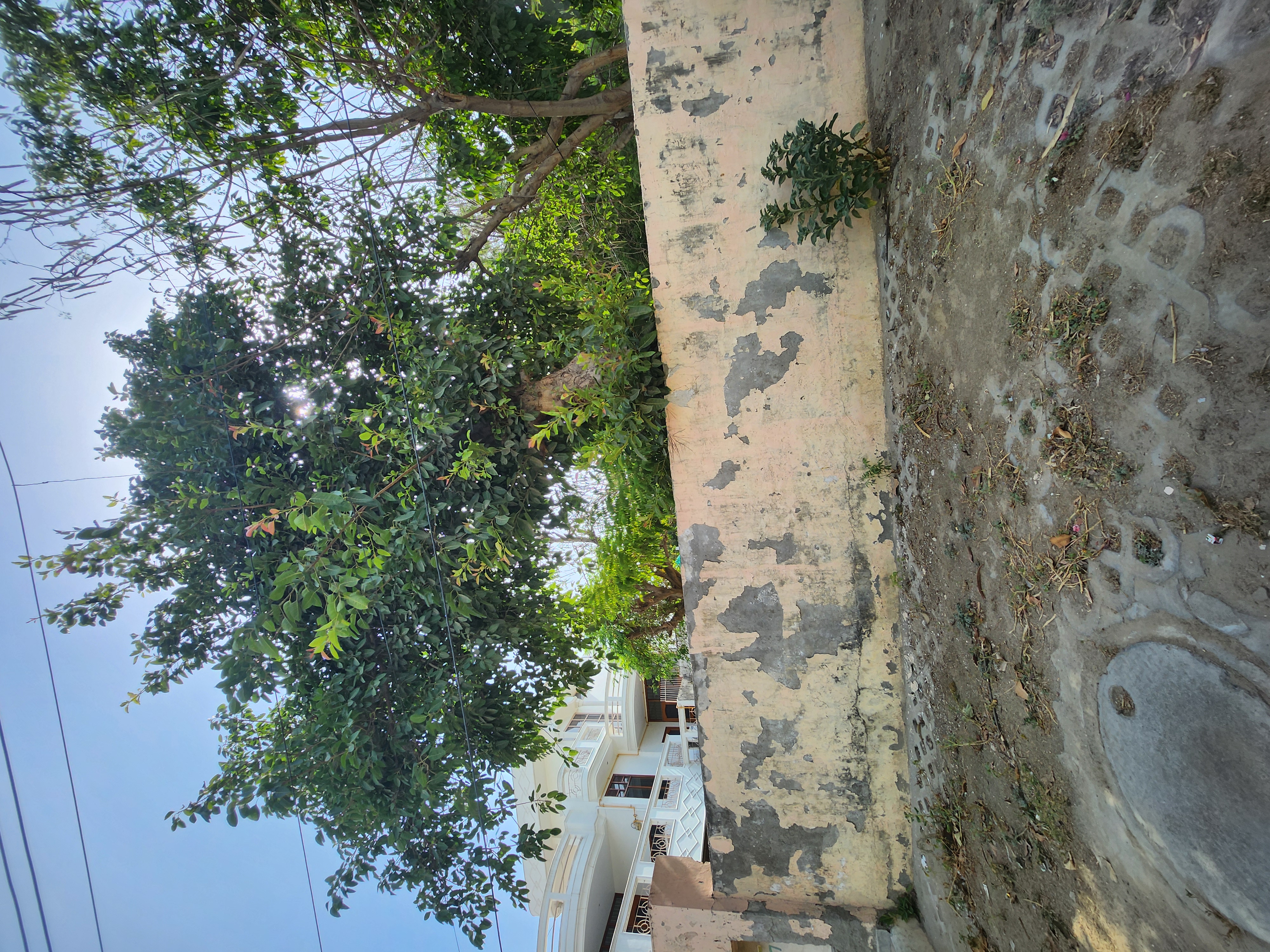 3 BHK + Pooja Room,Extra Room Independent House For Sale in Sector 16