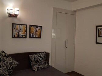 3 BHK Apartment For Rent in SS The Coralwood Sector 84 Gurgaon  8145582