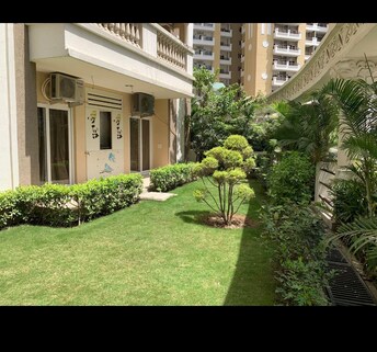 3 BHK Apartment For Rent in Purvanchal Royal City Chi V Greater Noida Greater Noida  8145632