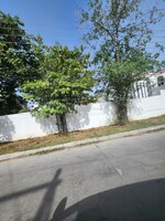 3 BHK + Pooja Room,Study Room 250 Sq.Ft. Independent House in Sector 16