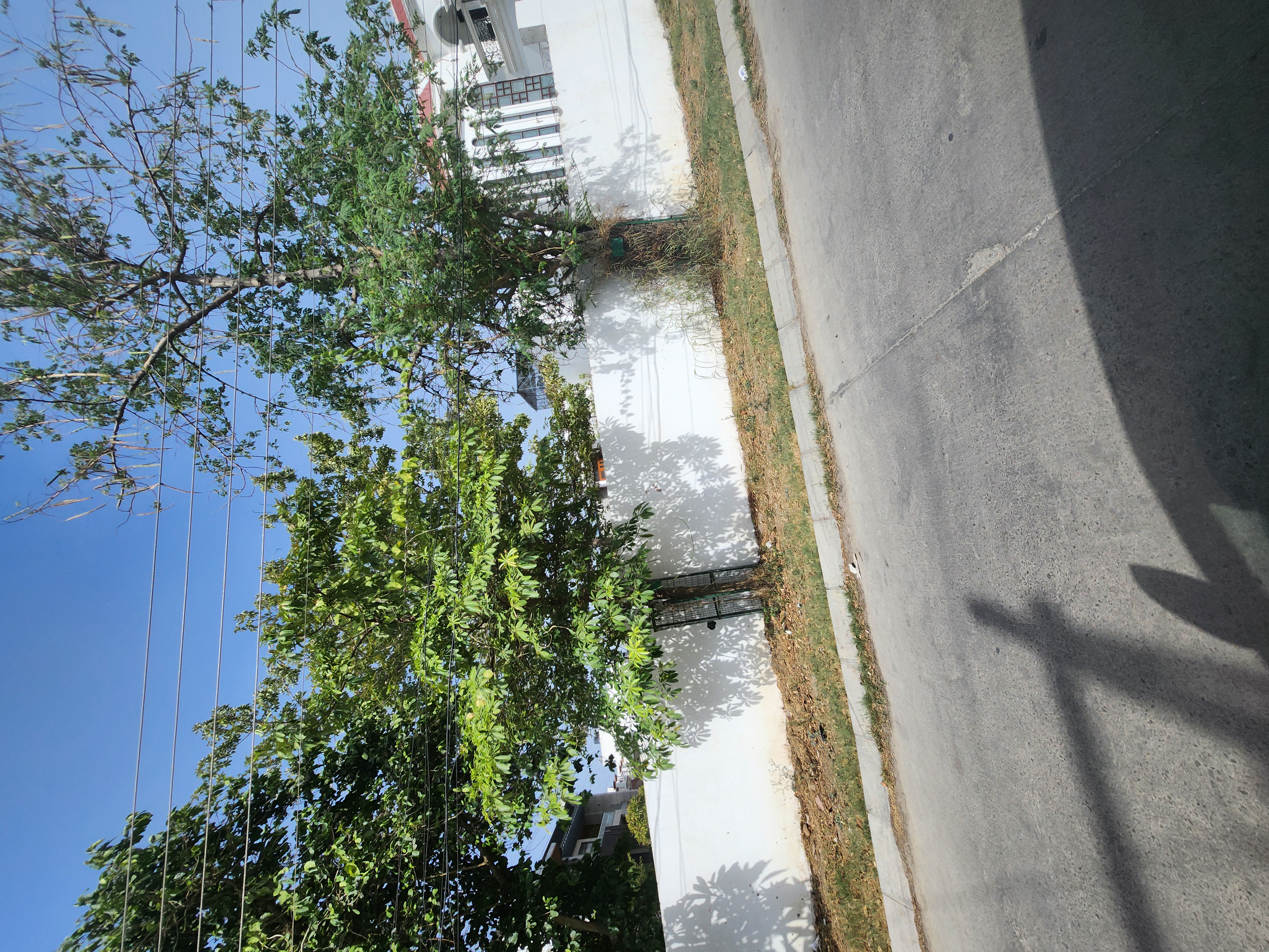 3 BHK + Pooja Room,Study Room Independent House For Sale in Sector 16