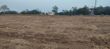 Plot For Resale in Veltur Sadashivpet  8145634