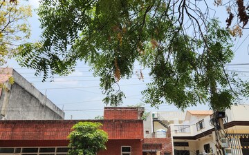 3 BHK Independent House For Sale in Sector 14