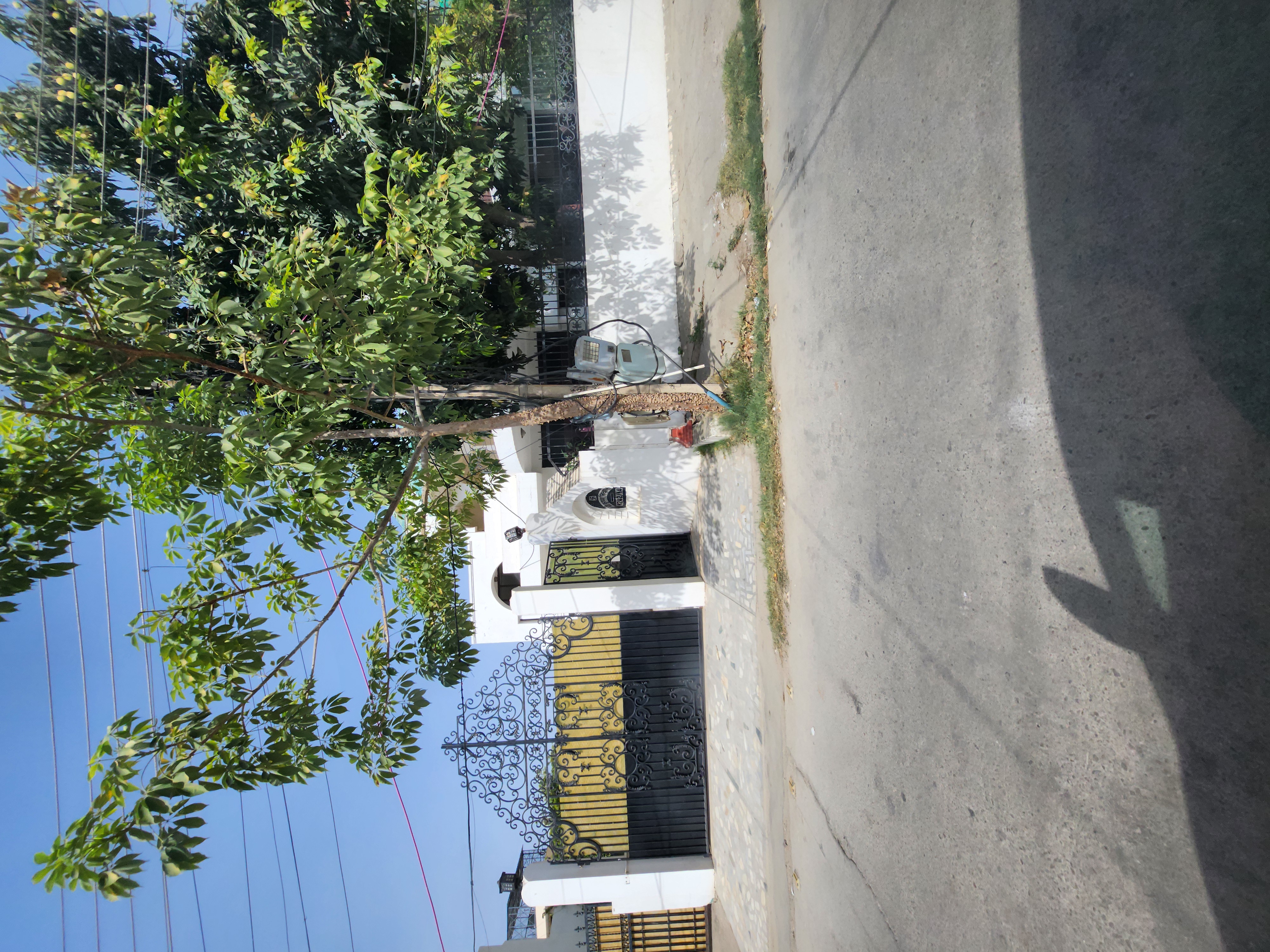 3.5 BHK + Pooja Room,Study Room Independent House For Sale in Sector 14