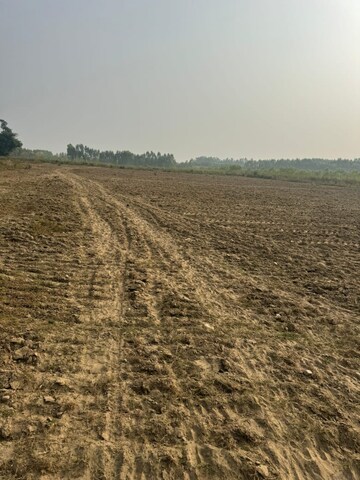  Plot For Sale in Dholera