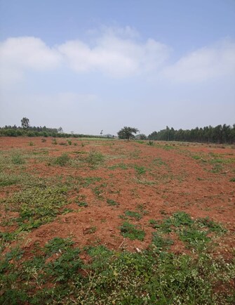 Plot For Resale in Chikkathoguru Bangalore  8145849