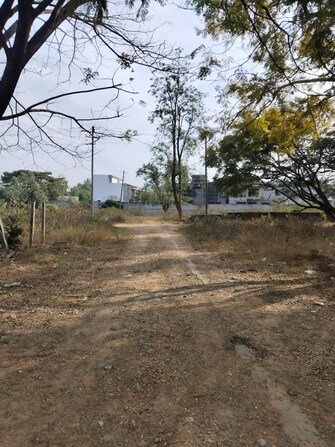 Plot For Resale in Chikkathoguru Bangalore  8145849