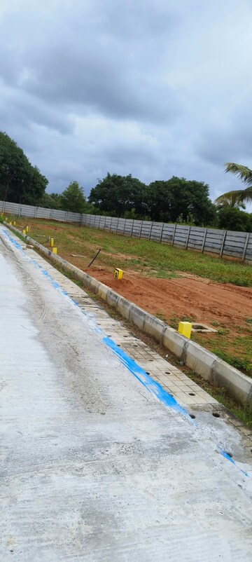 Swimming Pool in  Plot at Ashok Nagar – for Sale