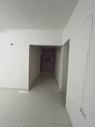 2 BHK Apartment For Rent in Ganga Sarovar Wadgaon Sheri Pune  8146176