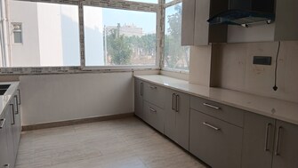 4 BHK Builder Floor For Rent in Ansal API Esencia Sector 67 Gurgaon  8146267