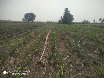 Plot Area in  Land at Kasaba Bawada – for Sale