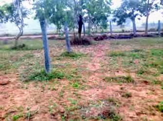 Plot For Resale in Airport Avenue Hegganahalli Bangalore  8146273