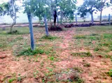 Plot Area in  Plot at Airport Avenue, Hegganahalli – for Sale