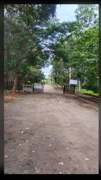 Plot For Resale in Airport Avenue Hegganahalli Bangalore  8146273