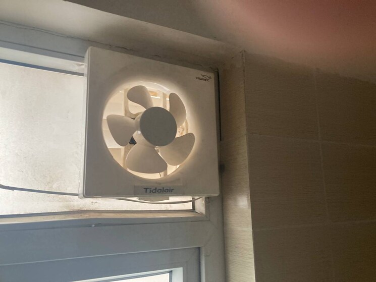 undefined, sector 21d 3 Bedroom 250 Sq.Ft. Builder Floor In Sector 21d Faridabad 8146561