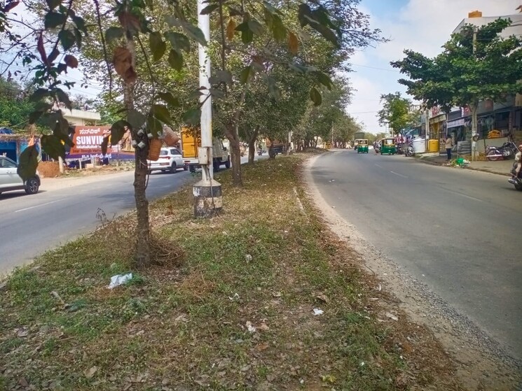 Garden, rt nagar  1200 Sq.Yd. Plot In Rt Nagar Bangalore 8146565