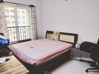 2 BHK Apartment For Rent in Rustomjee Azziano Wing D Majiwada Thane  8146579