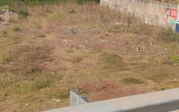 Plot For Sale in PachedA-1