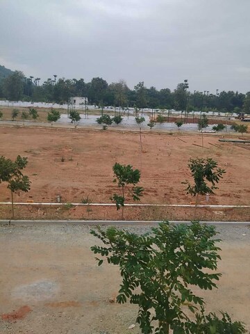 Plot For Resale in Vizianagaram Cantonment Vizianagaram  8147290