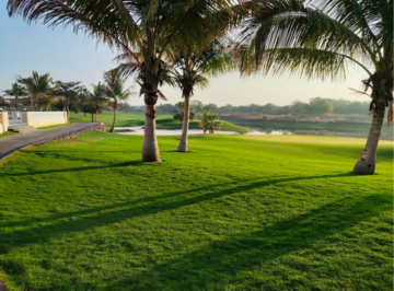  Plot – Garden View at Sanand - for Sale