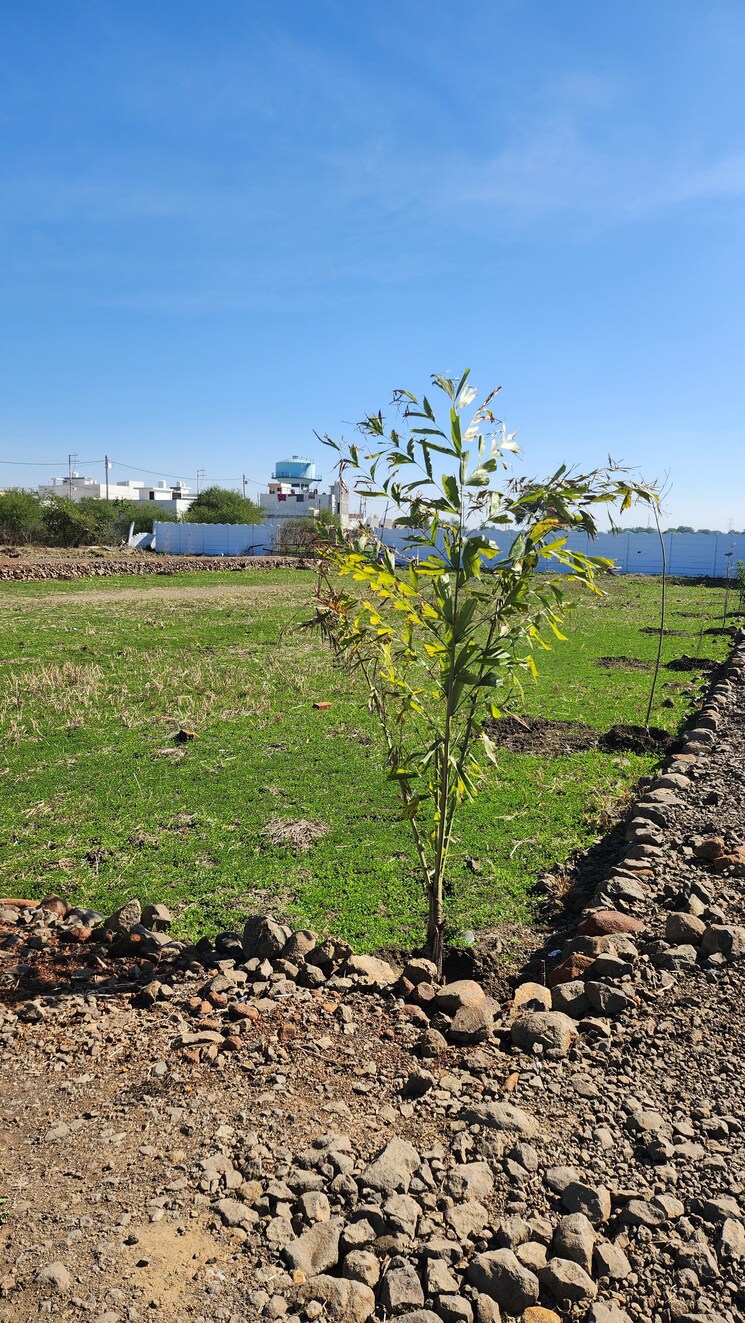 undefined, katangi  1000 Sq.Ft. Plot In Katangi Jabalpur 8147551