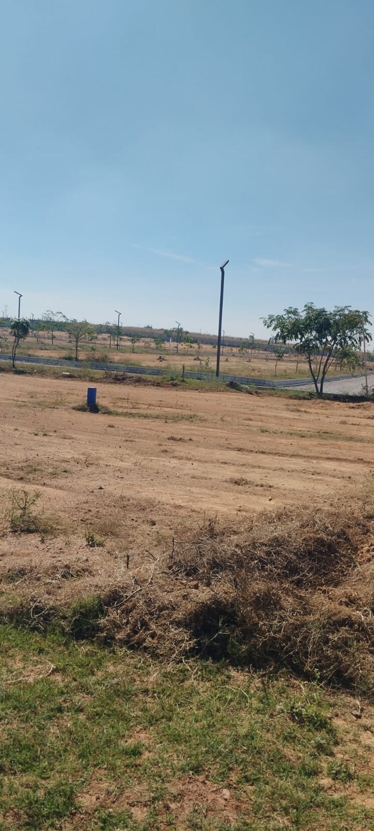 undefined, veltur  165 Sq.Yd. Plot In Veltur Sadashivpet 8147607