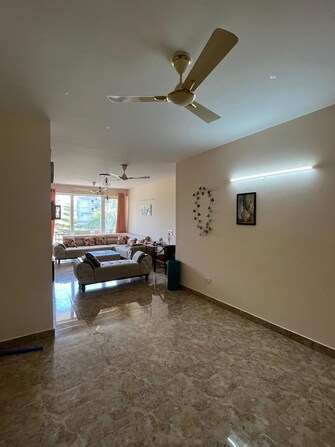 4 BHK Apartment For Rent in GTM The Capital Aman Vihar Dehradun  8147877