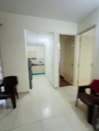 2 BHK Apartment For Rent in The Address Mullanpur North Mullanpur Chandigarh  8147914