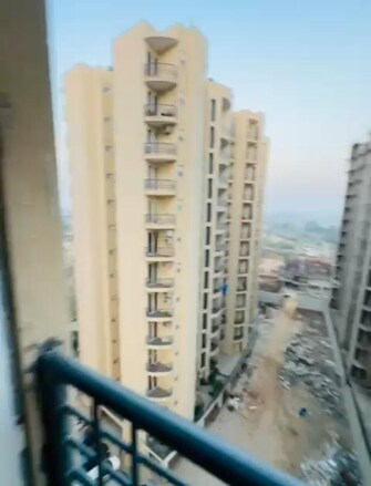 2 BHK Apartment For Rent in The Address Mullanpur North Mullanpur Chandigarh  8147914