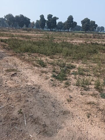 Plot Area in  Plot at Sohna Sector 26 – for Sale