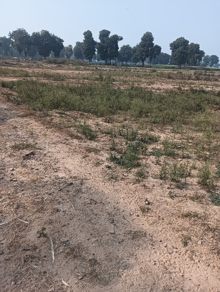 undefined, sohna sector 26  141 Sq.Yd. Plot In Sohna Sector 26 Gurgaon 8147978