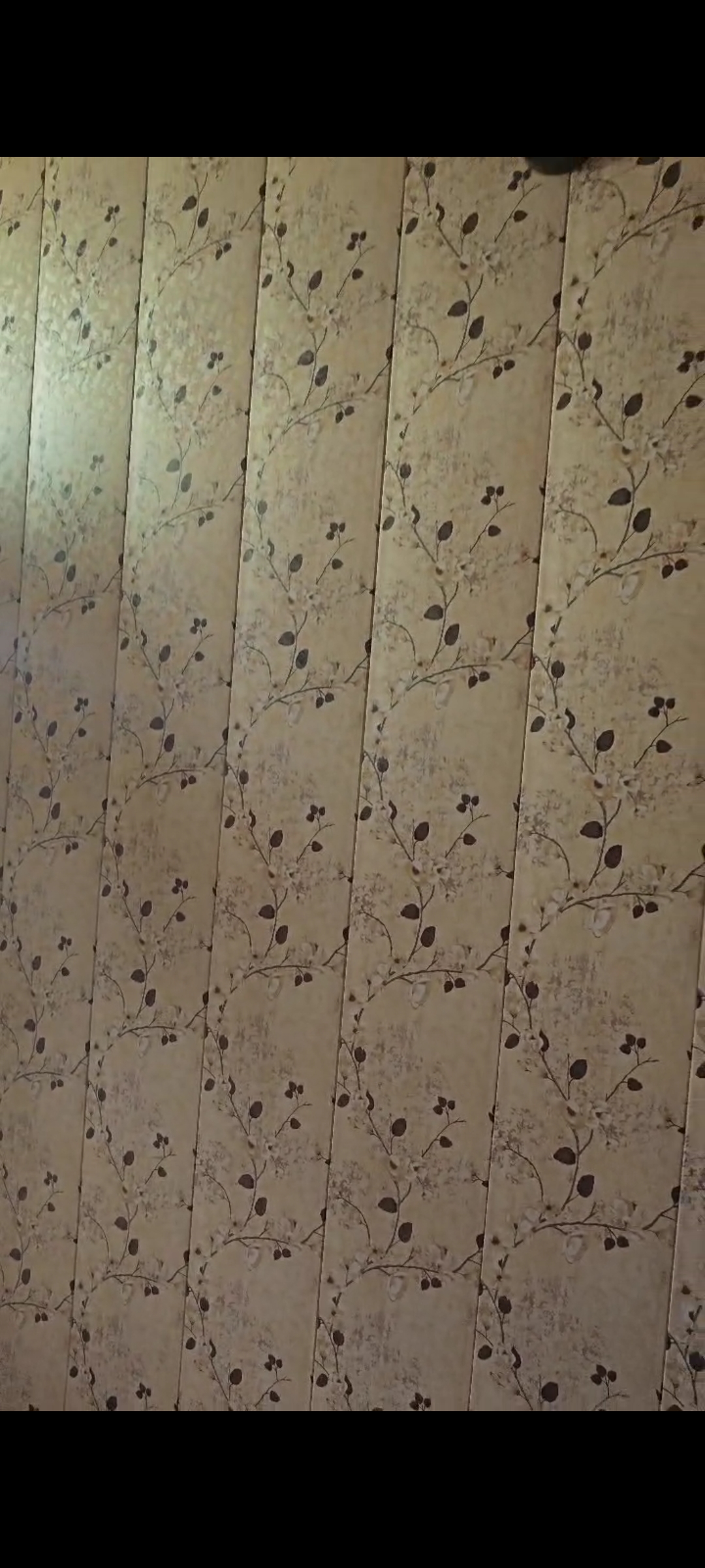 2 BHK + Pooja Room Apartment For Sale in Meenal Balmukund Residency