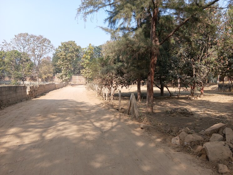 undefined, kadarpur  50 Sq.Yd. Plot In Kadarpur Gurgaon 8148293