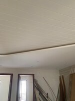 3 BHK 180 Sq.Ft. Builder Floor in BPTP Park 81