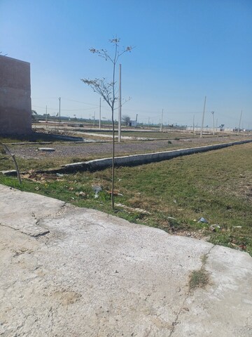  Land For Sale in Jewar