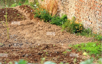 Plot For Sale in Sector 22