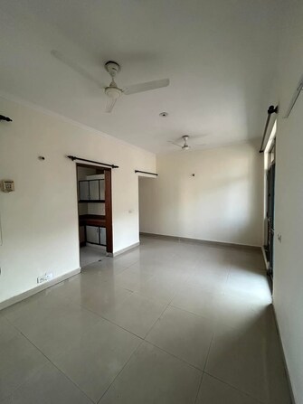 3 BHK Builder Floor For Rent in Rohini Sector 8 Delhi  8148740