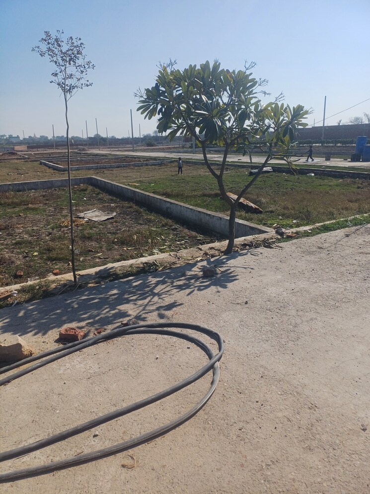 Exterior View, jewar Commercial Land 450 Sq.Yd. In Jewar Greater Noida 8148957