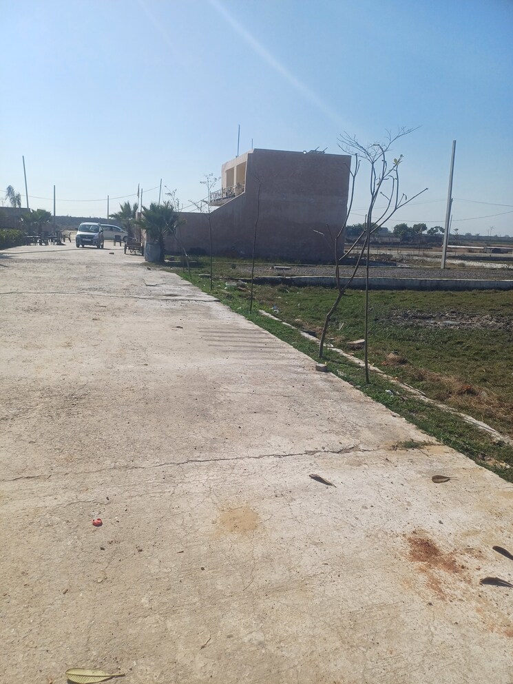 Exterior View, jewar Commercial Land 450 Sq.Yd. In Jewar Greater Noida 8148957
