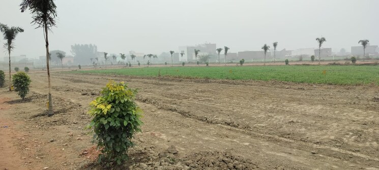 undefined, jewar  100 Sq.Yd. Plot In Jewar Greater Noida 8148968